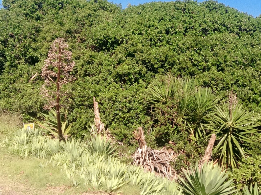 Commercial Property for Sale in Paradise Beach Eastern Cape